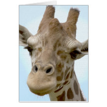 Gentle giraffe card