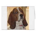 George Greeting Cards