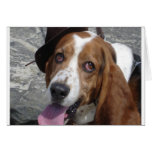 george on beach greeting card