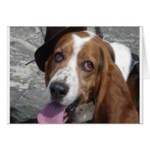 george on beach greeting card