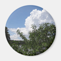 Georgia Peach Tree Fluffy White Clouds Refrigerator Magnet