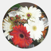 gerber daisy round stickers
