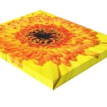 Gerber Daisy Stretched Canvas Print