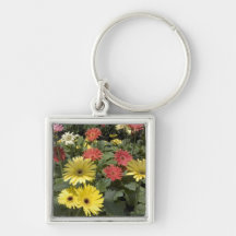 Gerbera Daisies Keychain
