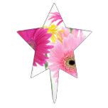 Gerbera Daisies Pink