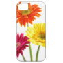 iPhone5 Cases