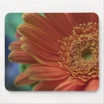 Gerbera daisy mousepad
