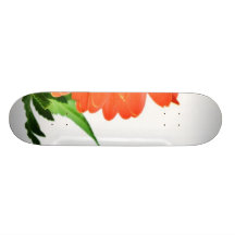 Gerbera On White Background Skate Deck