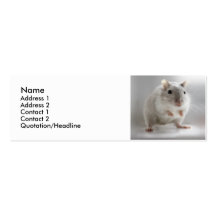 Gerbil Address Card Business Cards