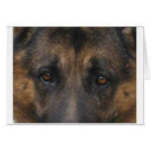 German Shepherd Card