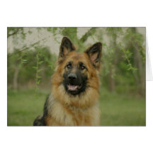 German Shepherd card