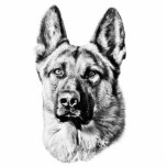 German Shepherd dog Photo Cutout