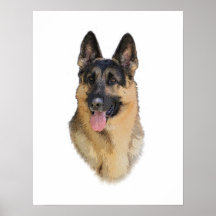 German Shepherd Dog Posters