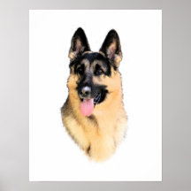 German Shepherd Dog Posters