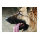 German Shepherd greeting card