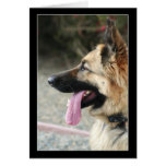 German Shepherd greeting card
