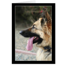 German Shepherd greeting card