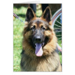 German Shepherd Notecard