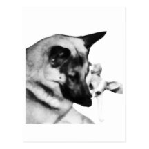 German Shepherd Post Card