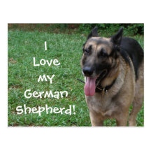 German Shepherd Post Cards
