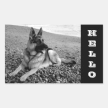 German Shepherd Puppy Hi / Hello Sticker / Labels