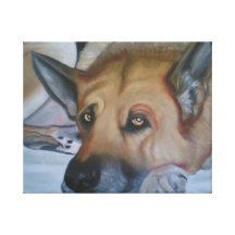 German Shepherd Stretched Canvas Print
