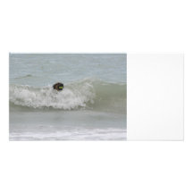 german shepherd swimming in wave photo card