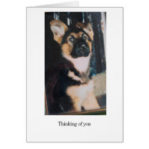 German Shepherd Thinking of you Card