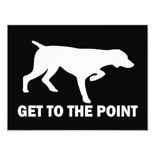 German Shorthaired Pointer "Get to the Point" Photo