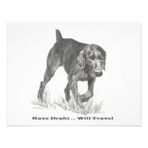 German Wire Haired Pointer slogan. Custom Invite