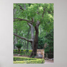 Gerona Italy trees garden 2012 Print
