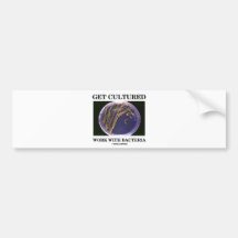 Get Cultured Work With Bacteria (Agar Plate) Bumper Stickers