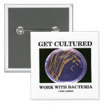 Get Cultured Work With Bacteria (Agar Plate) Pinback Button
