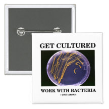 Get Cultured Work With Bacteria (Agar Plate) Pinback Button