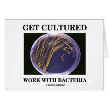 Get Cultured Work With Bacteria (Agar Plate) Cards