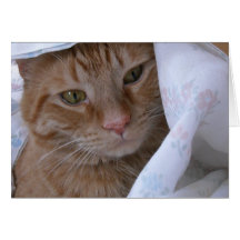 Get Well Greeting Cards
