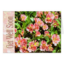 get well soon greeting cards