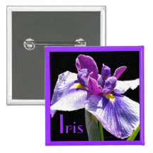Giant Blue Purple Iris Buttons