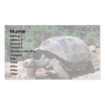 Giant Dome-Shaped Tortoise Walking Business Card Template