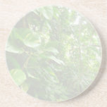 Giant Leaves Wash Out Jungle View Beverage Coasters