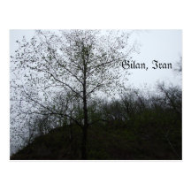 Gilan Jungles Postcard