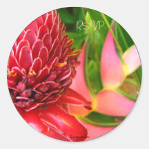 Ginger Tropical Wedding Envelope Seals/ Stickers