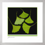 Gingko Leaves poster