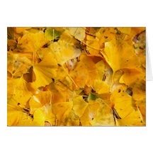 Ginkgo Biloba leaves Greeting Card