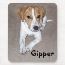 Gipper Doodle Mousepads
