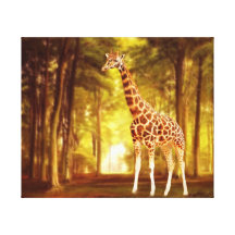 Giraffe Canvas Print