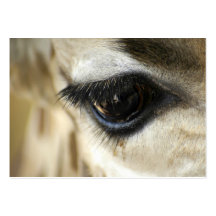 Giraffe Eye - ACEO 8 Business Card Template
