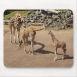 Giraffe Family Mousemats