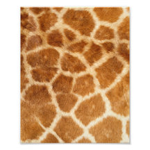 Giraffe Fur Print Art Photo