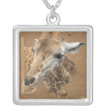 Giraffe Gaze  Necklace